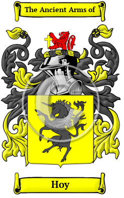 Hoy Family Crest Download (JPG) Heritage Series - 600 DPI