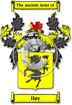 Høy Family Crest Download (JPG) Legacy Series - 600 DPI
