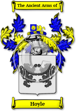 Hoyle Family Crest Download (jpg) Legacy Series - 150 DPI