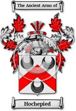 Hochepied Family Crest Download (jpg) Legacy Series - 150 DPI