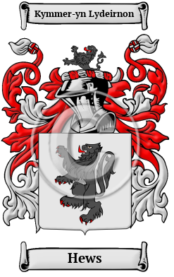 Hews Family Crest/Coat of Arms