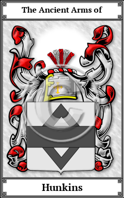 Hunkins Family Crest Download (JPG)  Book Plated - 150 DPI