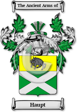 Haupt Family Crest Download (jpg) Legacy Series - 150 DPI