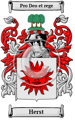 Herst Family Crest/Coat of Arms