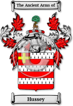 Hussey Family Crest Download (jpg) Legacy Series - 150 DPI