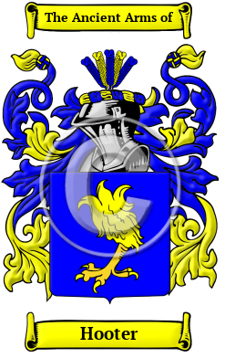 Hooter Family Crest Download (JPG) Heritage Series - 600 DPI