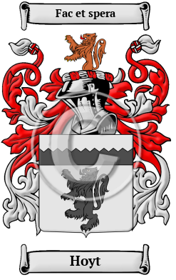 Hoyt Family Crest/Coat of Arms