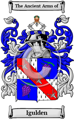 Igulden Family Crest/Coat of Arms