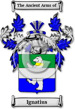 Ignatius Family Crest Download (jpg) Legacy Series - 150 DPI