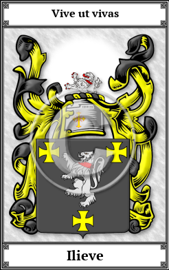 Ilieve Family Crest Download (JPG)  Book Plated - 150 DPI