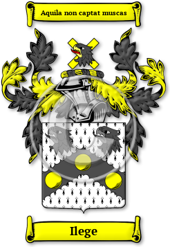 Ilege Family Crest Download (jpg) Legacy Series - 150 DPI