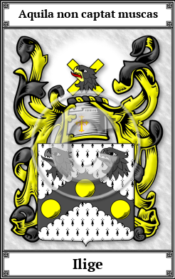 Ilige Family Crest Download (JPG) Book Plated - 600 DPI