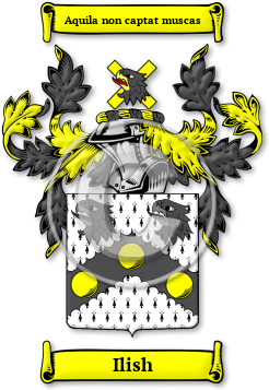 Ilish Family Crest Download (jpg) Legacy Series - 150 DPI