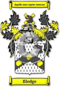 Illedge Family Crest Download (jpg) Legacy Series - 150 DPI