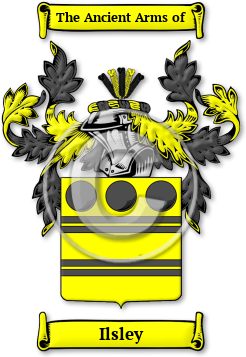Ilsley Family Crest Download (jpg) Legacy Series - 150 DPI