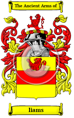 Iiams Family Crest Download (JPG) Heritage Series - 600 DPI