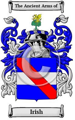 Irish Family Crest Download (JPG) Heritage Series - 600 DPI