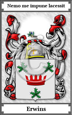 Erwins Family Crest Download (JPG)  Book Plated - 150 DPI