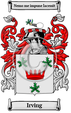 Irving Family Crest Download (JPG) Heritage Series - 600 DPI