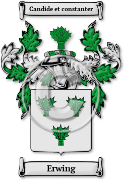 Erwing Family Crest Download (jpg) Legacy Series - 150 DPI