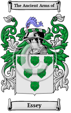 Essey Family Crest Download (JPG) Heritage Series - 600 DPI