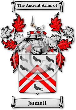 Jannett Family Crest Download (jpg) Legacy Series - 150 DPI