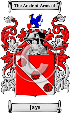 Jays Family Crest/Coat of Arms