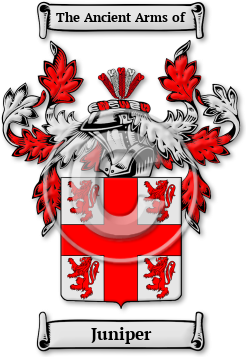 Juniper Family Crest Download (JPG) Legacy Series - 600 DPI