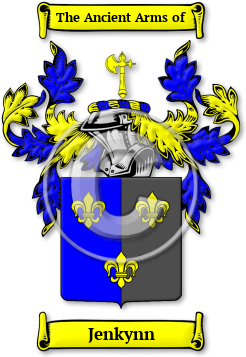 Jenkynn Family Crest Download (jpg) Legacy Series - 150 DPI