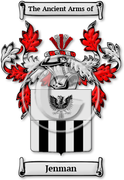 Jenman Family Crest Download (jpg) Legacy Series - 150 DPI