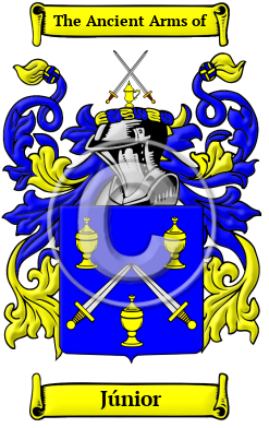 Júnior Family Crest Download (JPG) Heritage Series - 300 DPI