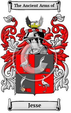 Jesse Family Crest Download (JPG) Heritage Series - 600 DPI