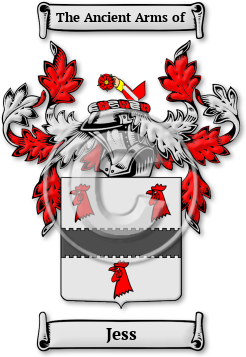 Jess Family Crest Download (JPG) Legacy Series - 300 DPI