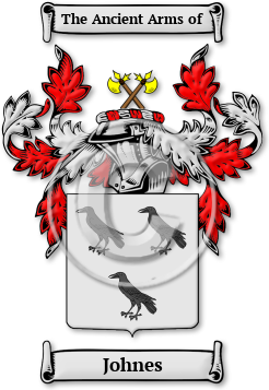 Johnes Family Crest Download (jpg) Legacy Series - 150 DPI