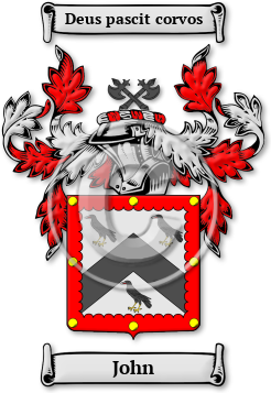 John Family Crest Download (jpg) Legacy Series - 150 DPI