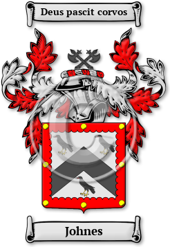 Johnes Family Crest Download (jpg) Legacy Series - 150 DPI