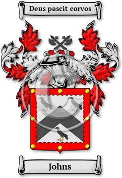 Johns Family Crest Download (jpg) Legacy Series - 150 DPI