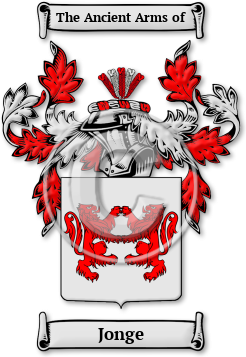 Jonge Family Crest Download (jpg) Legacy Series - 150 DPI