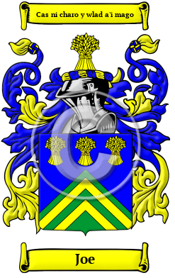 Joe Family Crest Download (JPG) Heritage Series - 600 DPI