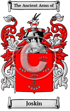 Joskin Family Crest/Coat of Arms