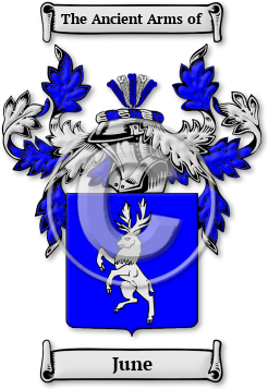 June Family Crest Download (jpg) Legacy Series - 150 DPI