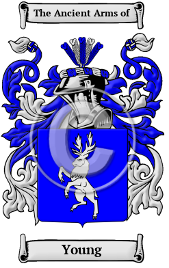 Young Family Crest Download (JPG) Heritage Series - 600 DPI