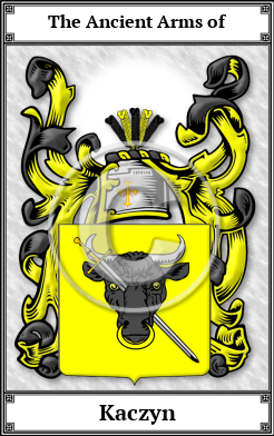 Kaczyn Family Crest Download (JPG) Book Plated - 600 DPI