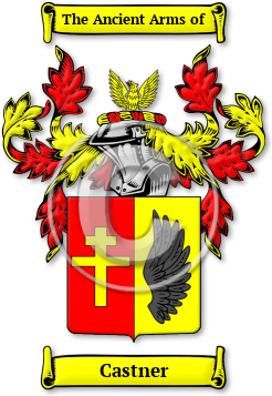 Castner Family Crest Download (jpg) Legacy Series - 150 DPI