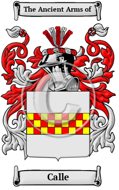 Calle Family Crest Download (JPG) Heritage Series - 600 DPI