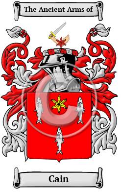 Cain Family Crest Download (JPG) Heritage Series - 600 DPI