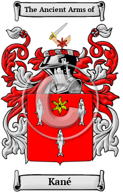 Kané Family Crest Download (JPG) Heritage Series - 300 DPI
