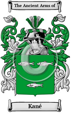 Kané Family Crest/Coat of Arms
