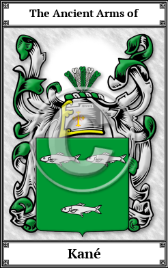 Kané Family Crest Download (JPG)  Book Plated - 150 DPI