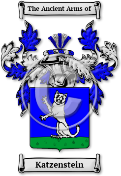 Katzenstein Family Crest Download (jpg) Legacy Series - 150 DPI